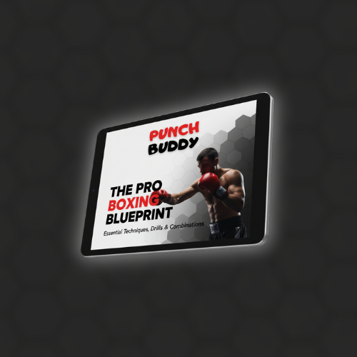 Pro Boxing Blueprint